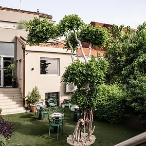 Luxury Euphorbia , Acireale Italien